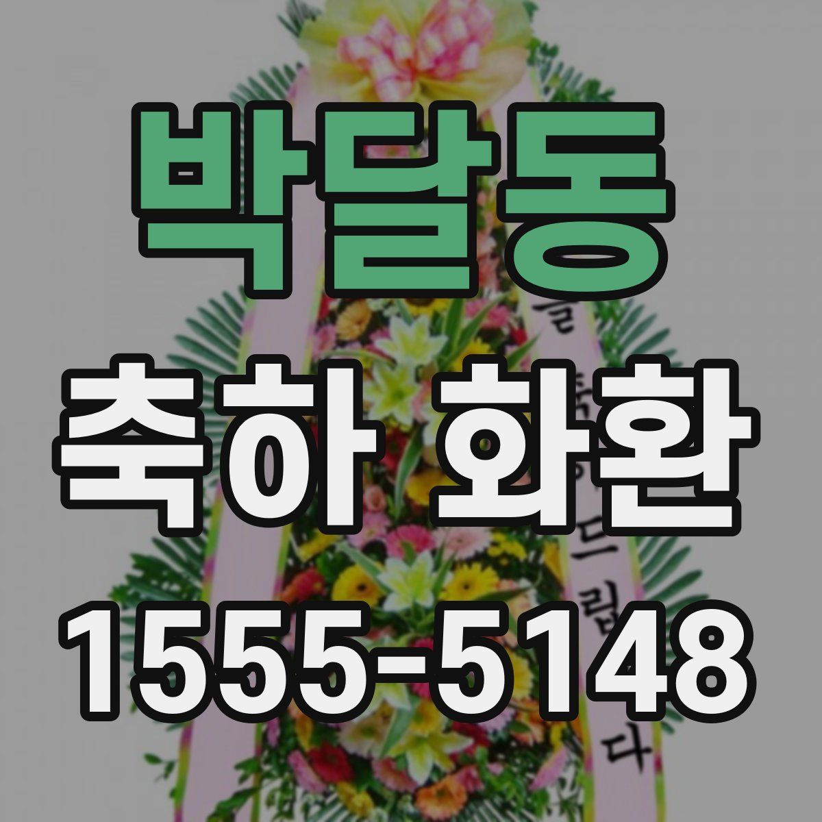 박달동 축하 화환
