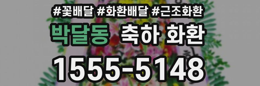 박달동 축하 화환