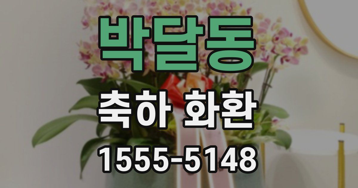 박달동 축하 화환