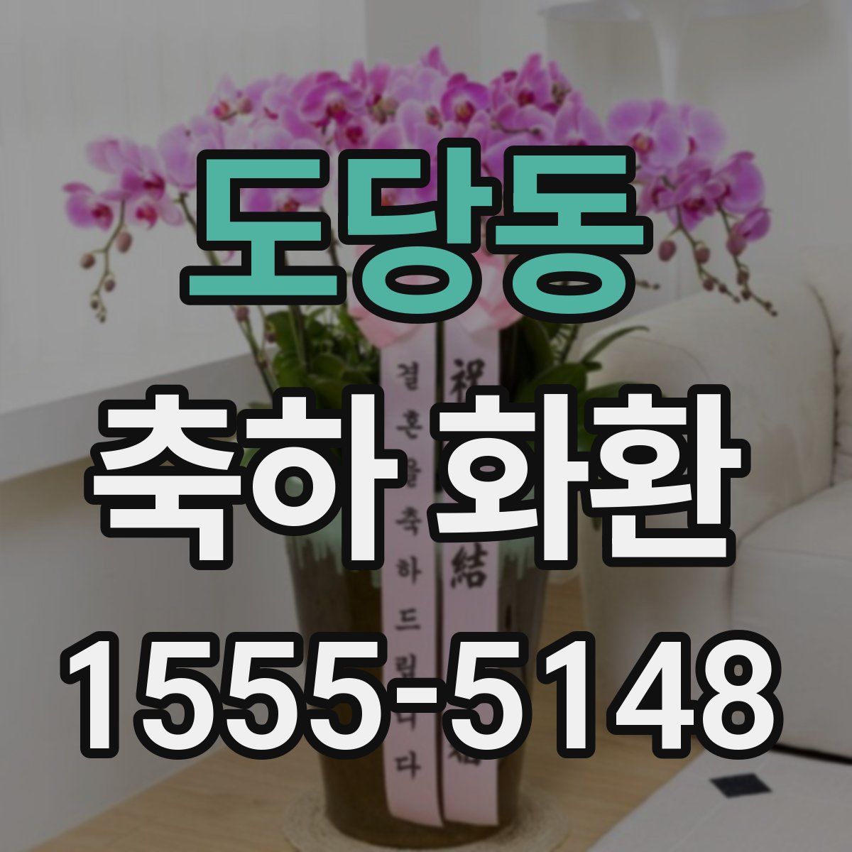 도당동 축하 화환
