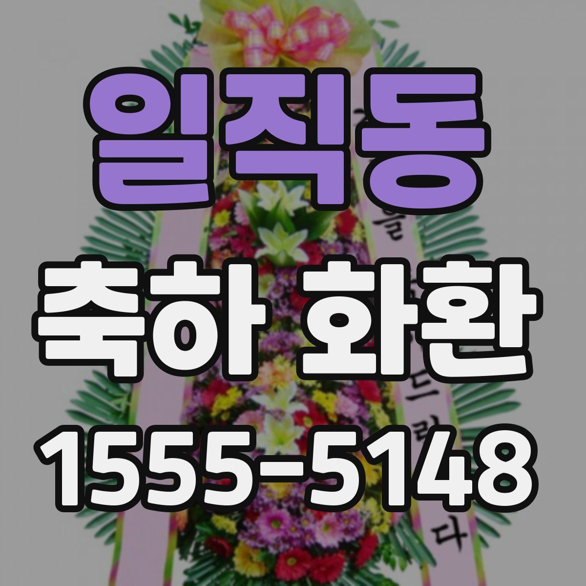 일직동 축하 화환