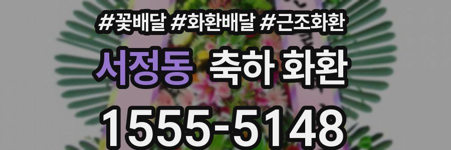 서정동 축하 화환