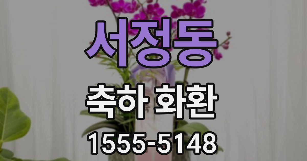 서정동 축하 화환