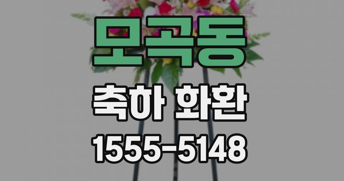 모곡동 축하 화환