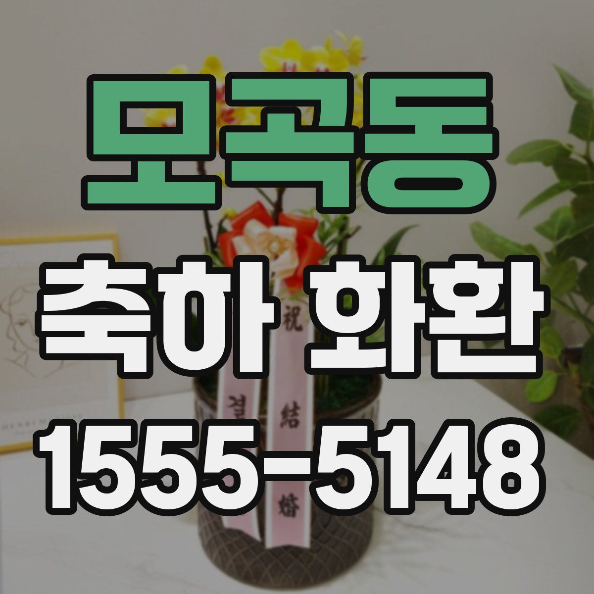 모곡동 축하 화환