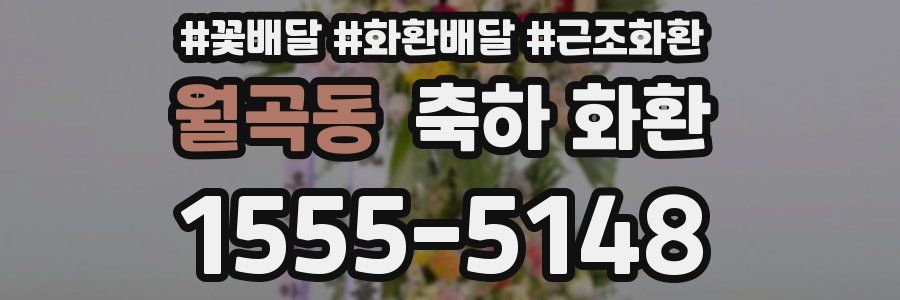 월곡동 축하 화환