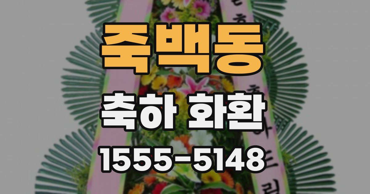 죽백동 축하 화환