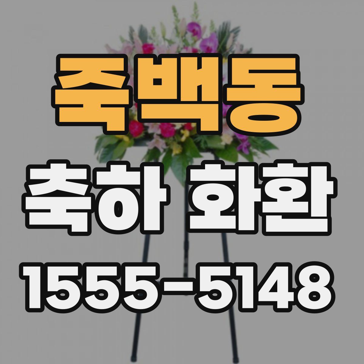 죽백동 축하 화환