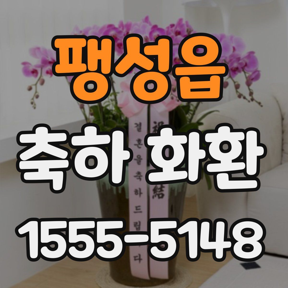 팽성읍 축하 화환