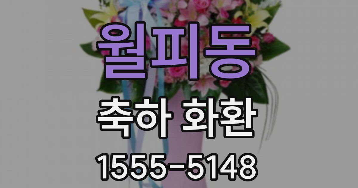 월피동 축하 화환