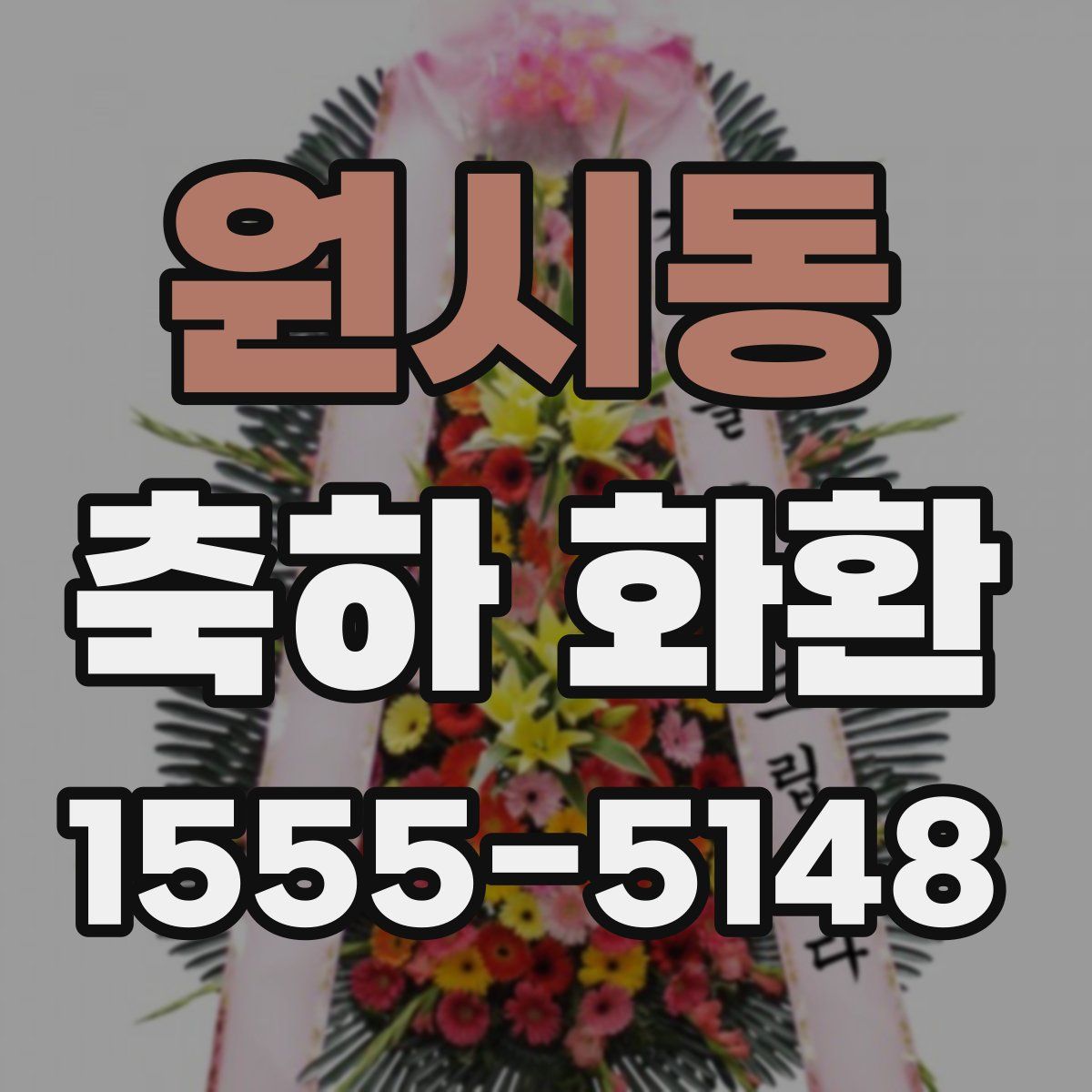 원시동 축하 화환