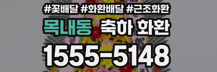 목내동 축하 화환