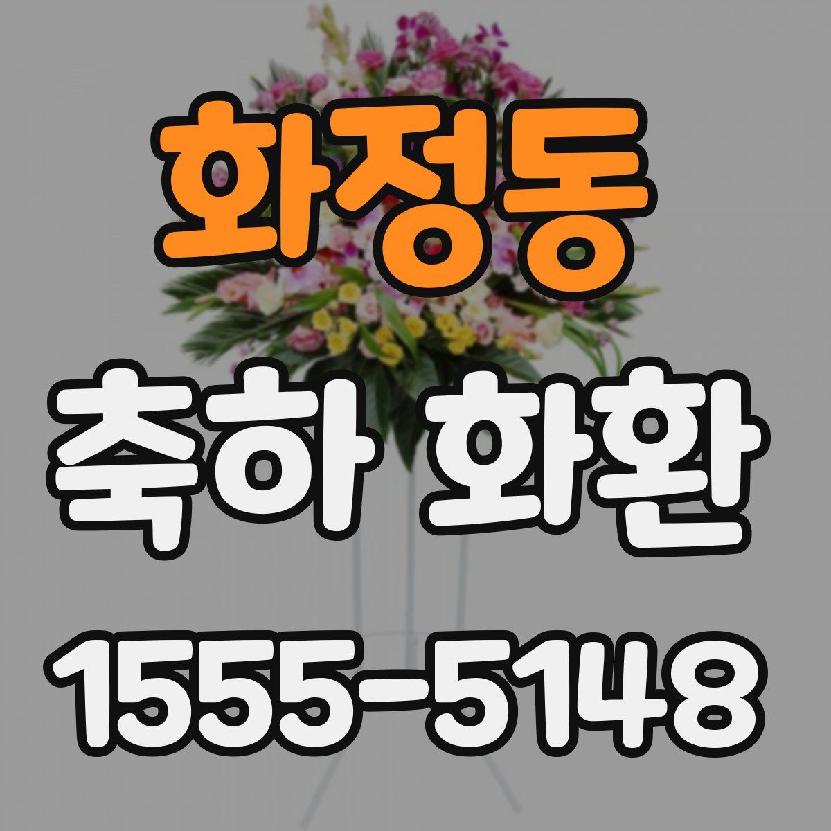 화정동 축하 화환