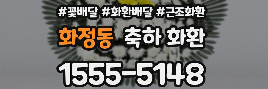 화정동 축하 화환