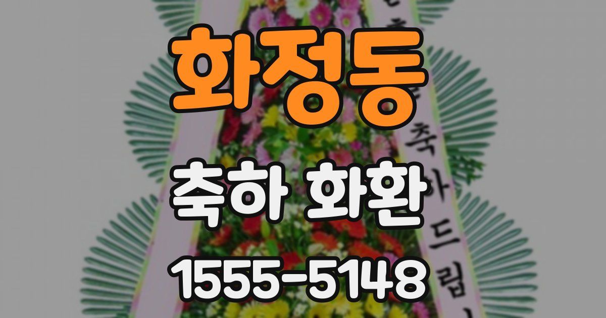 화정동 축하 화환