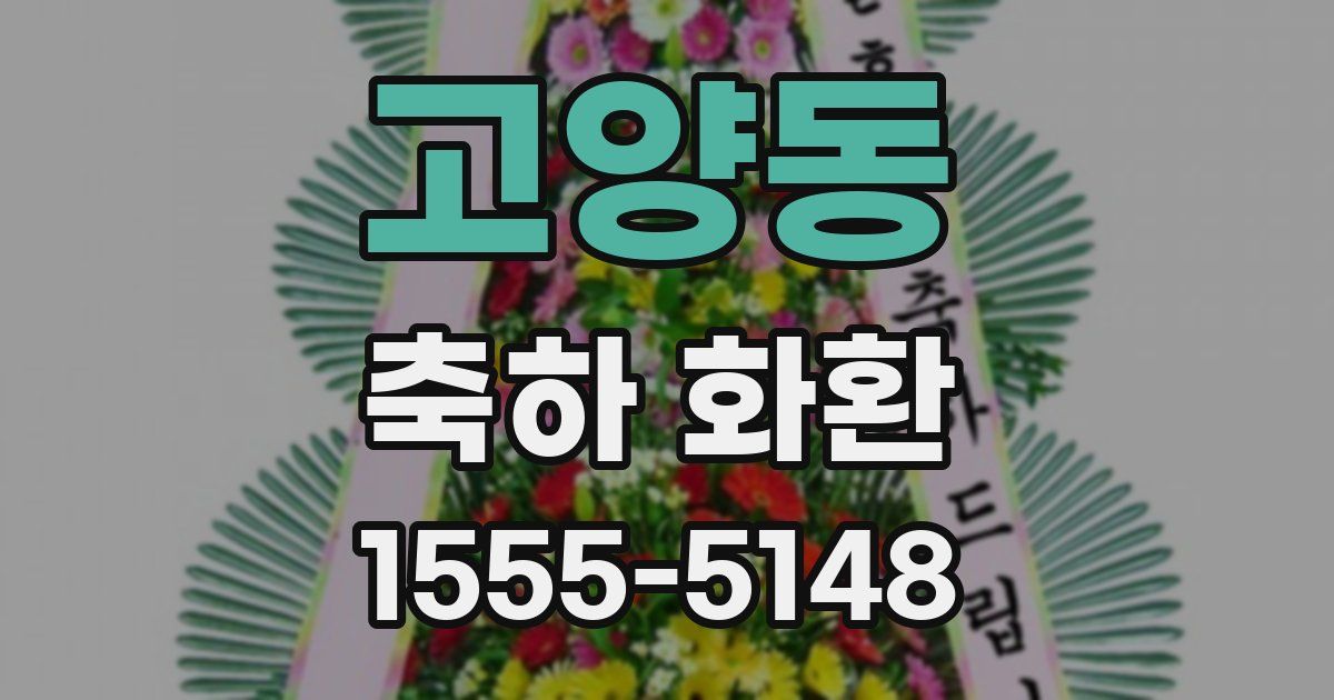 고양동 축하 화환
