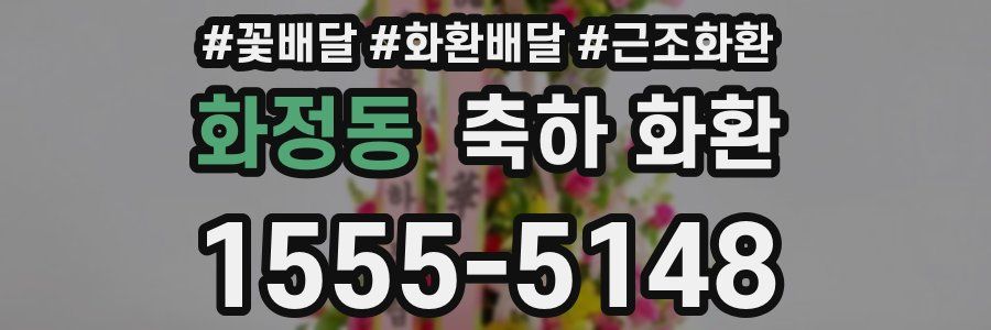 화정동 축하 화환