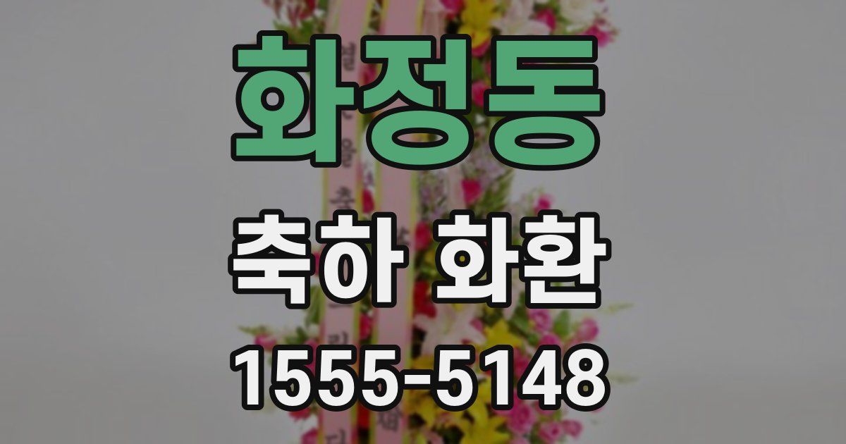 화정동 축하 화환