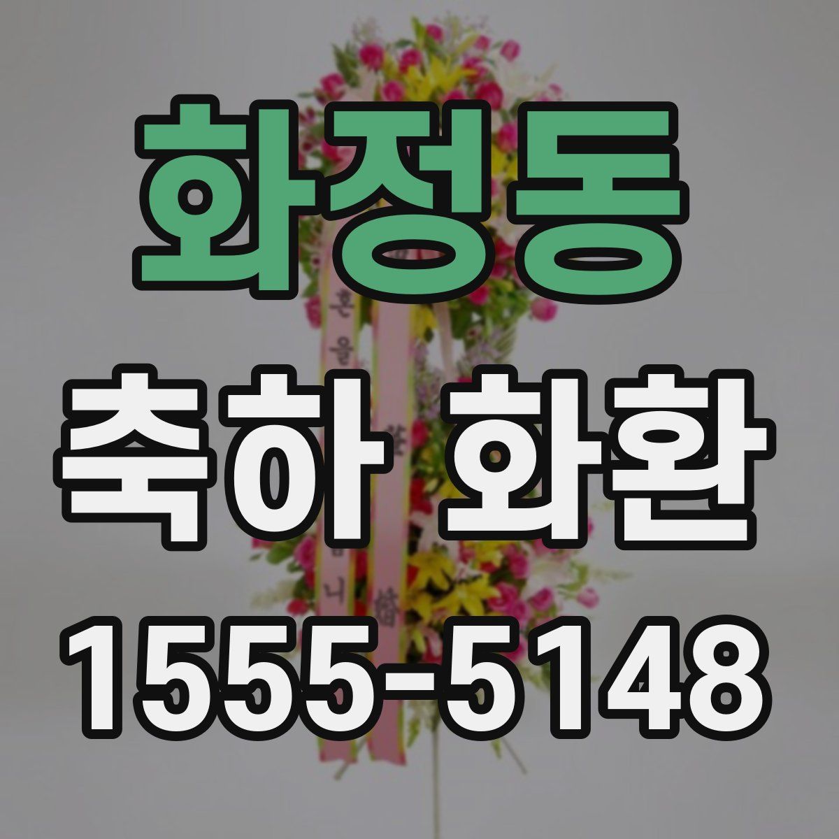 화정동 축하 화환