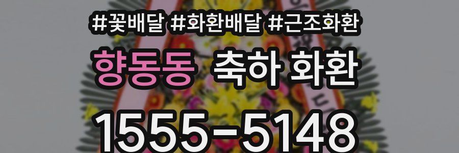 향동동 축하 화환