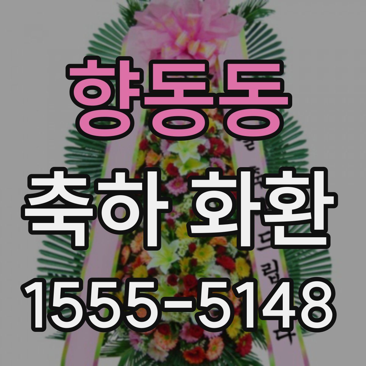 향동동 축하 화환
