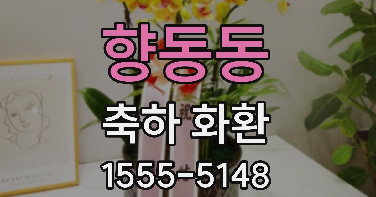 향동동 축하 화환