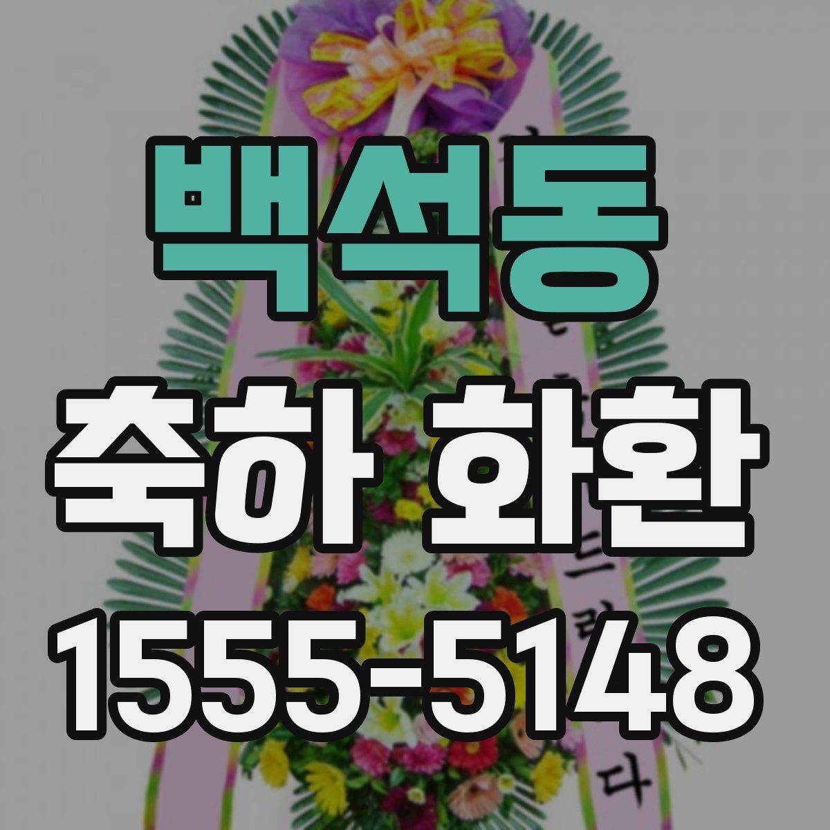 백석동 축하 화환