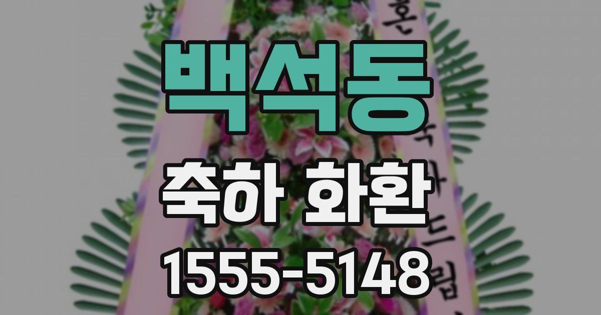 백석동 축하 화환