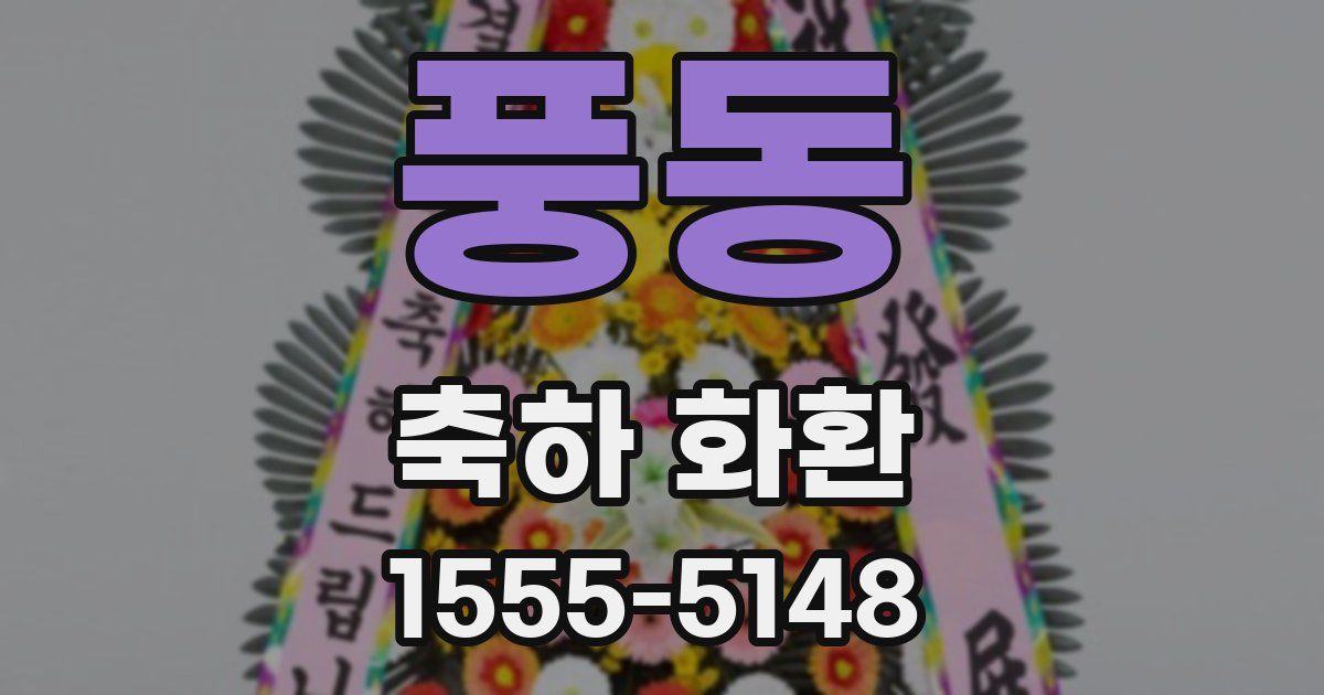 풍동 축하 화환