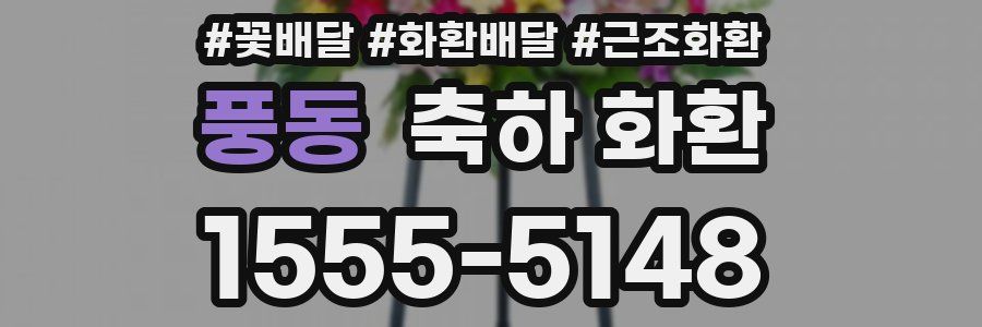 풍동 축하 화환