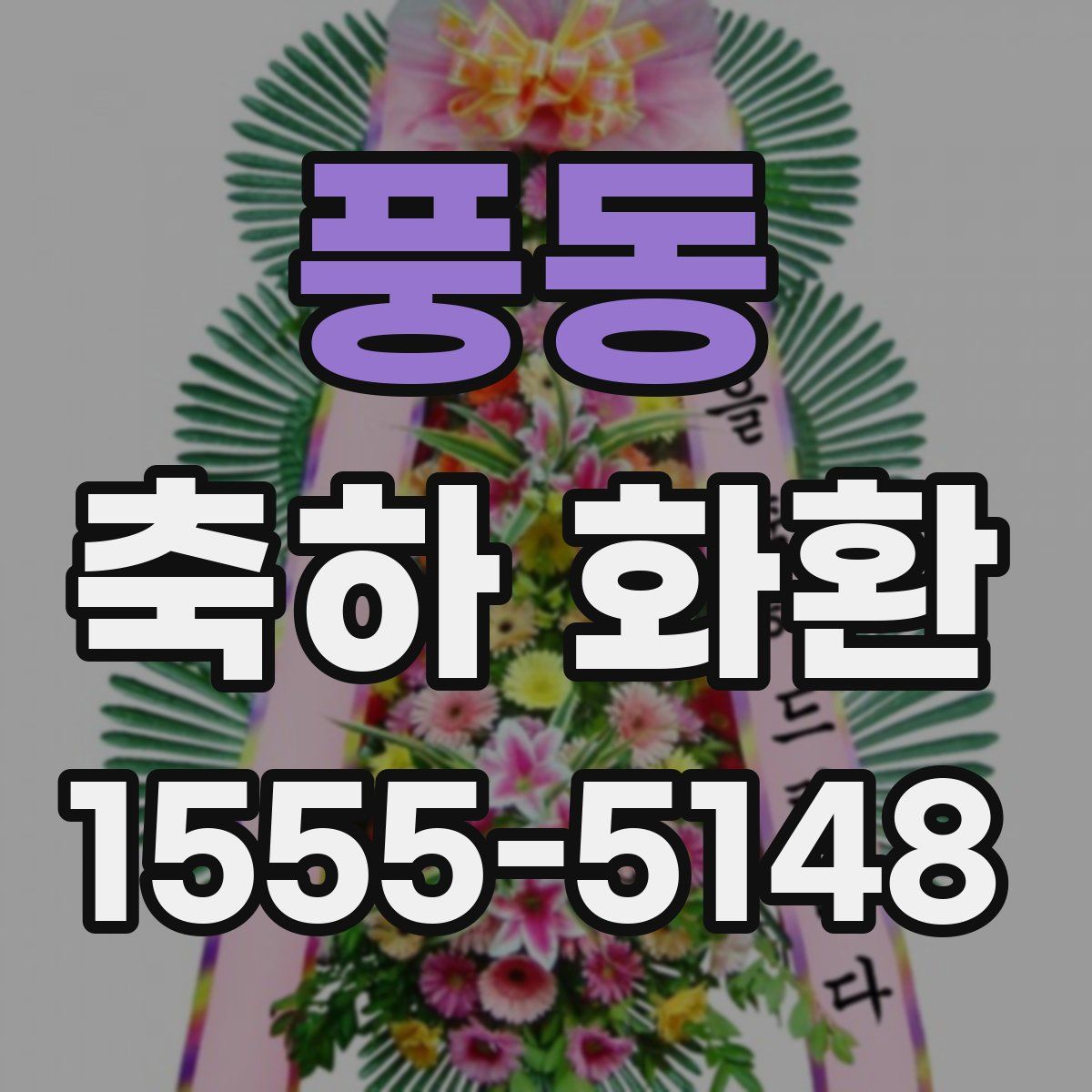 풍동 축하 화환