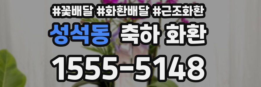 성석동 축하 화환