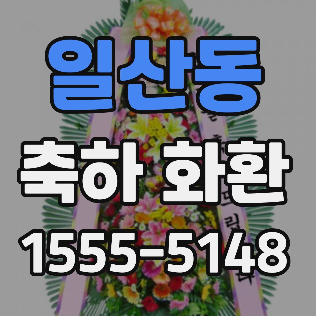 일산동 축하 화환