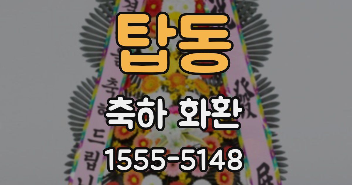탑동 축하 화환