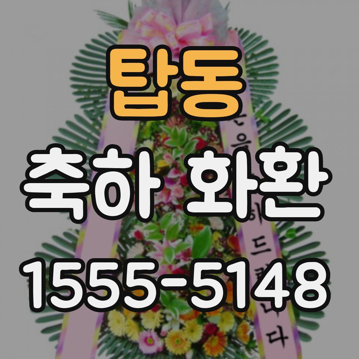 탑동 축하 화환