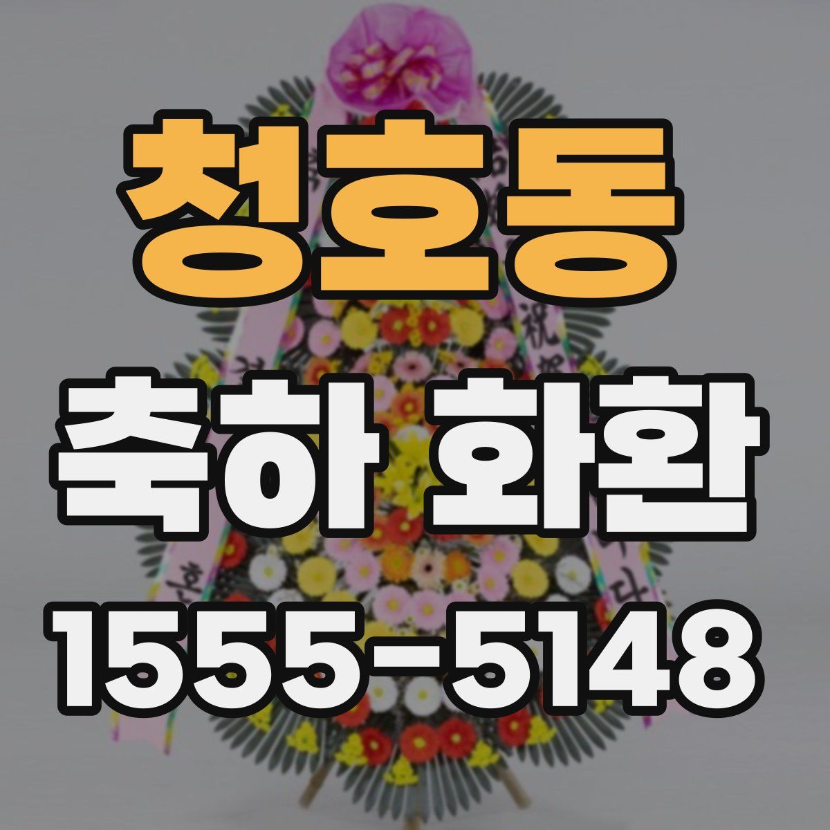 청호동 축하 화환