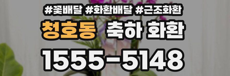 청호동 축하 화환