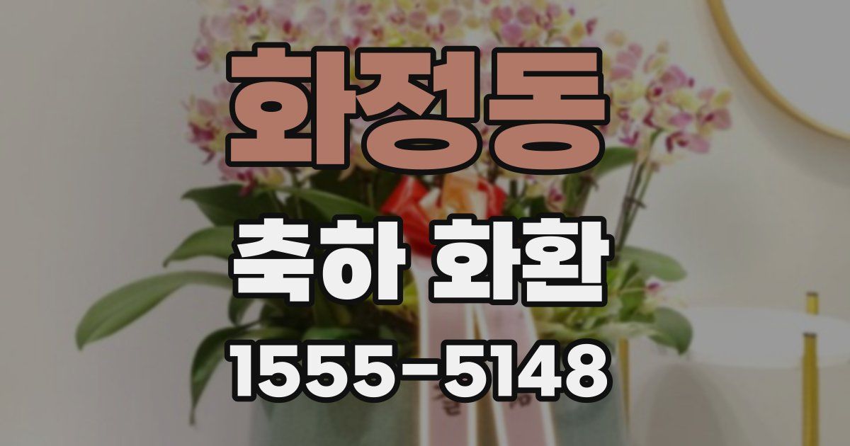 화정동 축하 화환