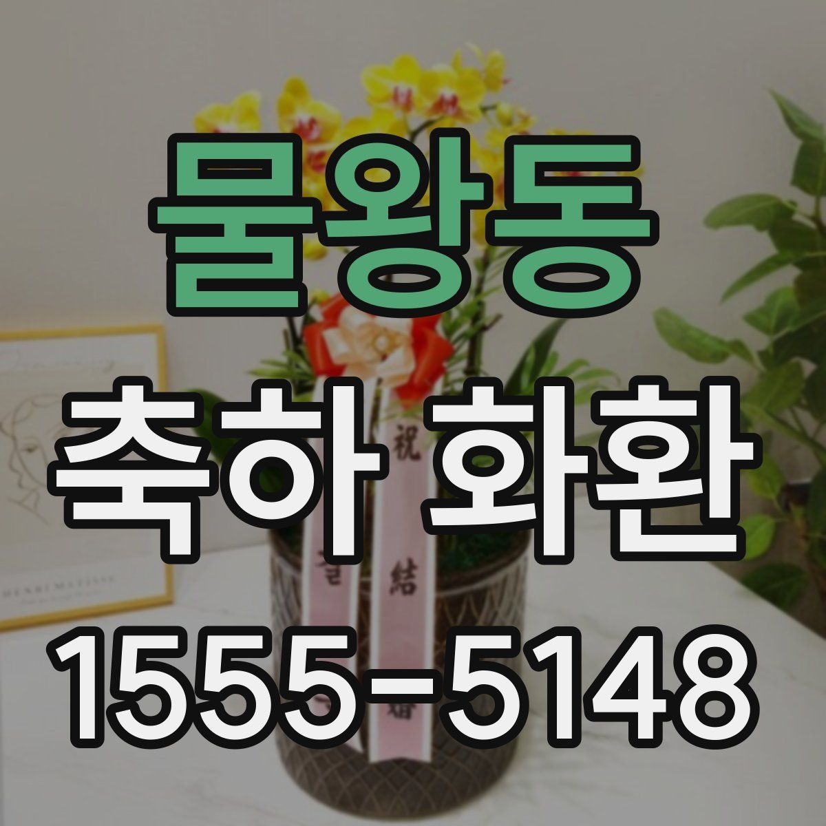 물왕동 축하 화환