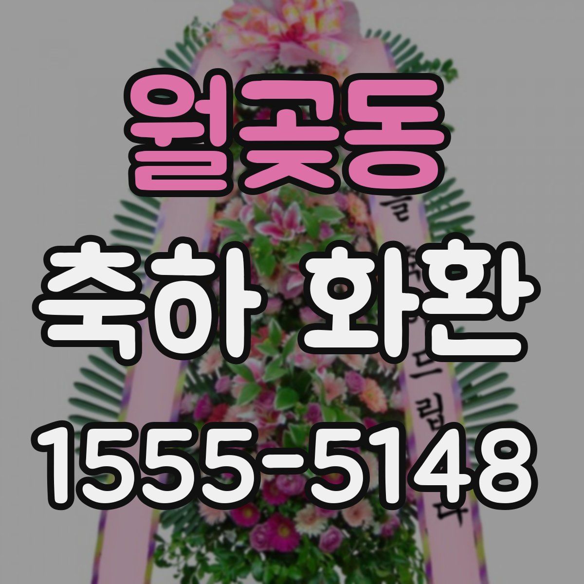 월곶동 축하 화환