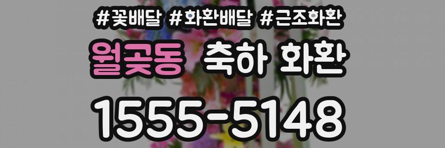 월곶동 축하 화환
