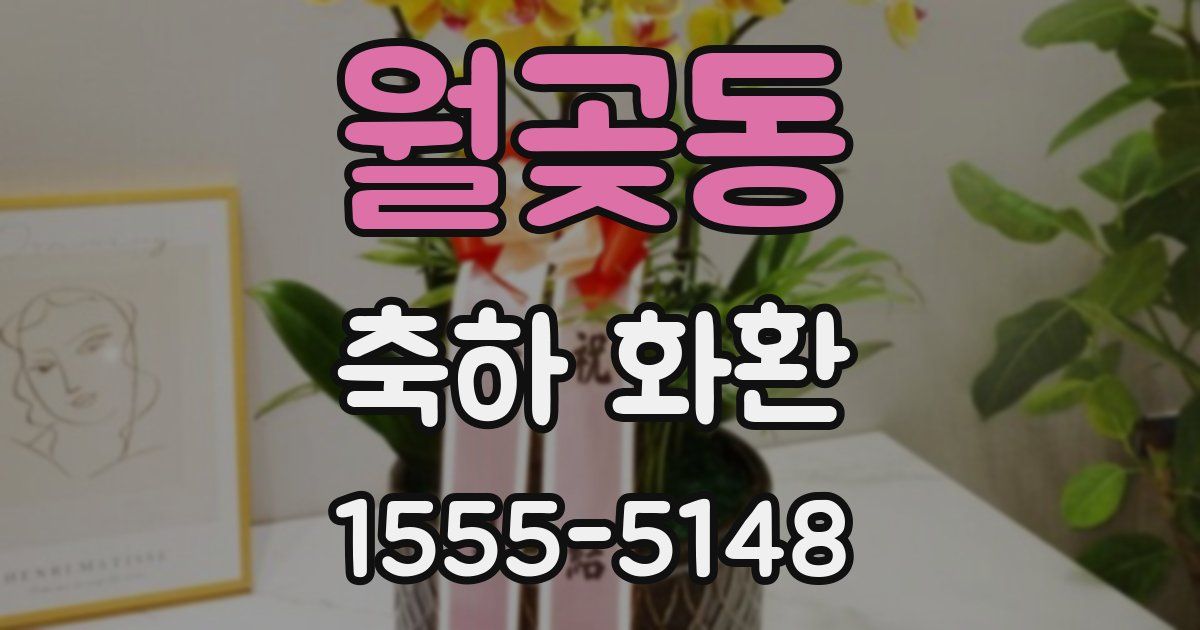 월곶동 축하 화환