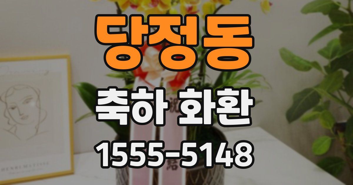 당정동 축하 화환