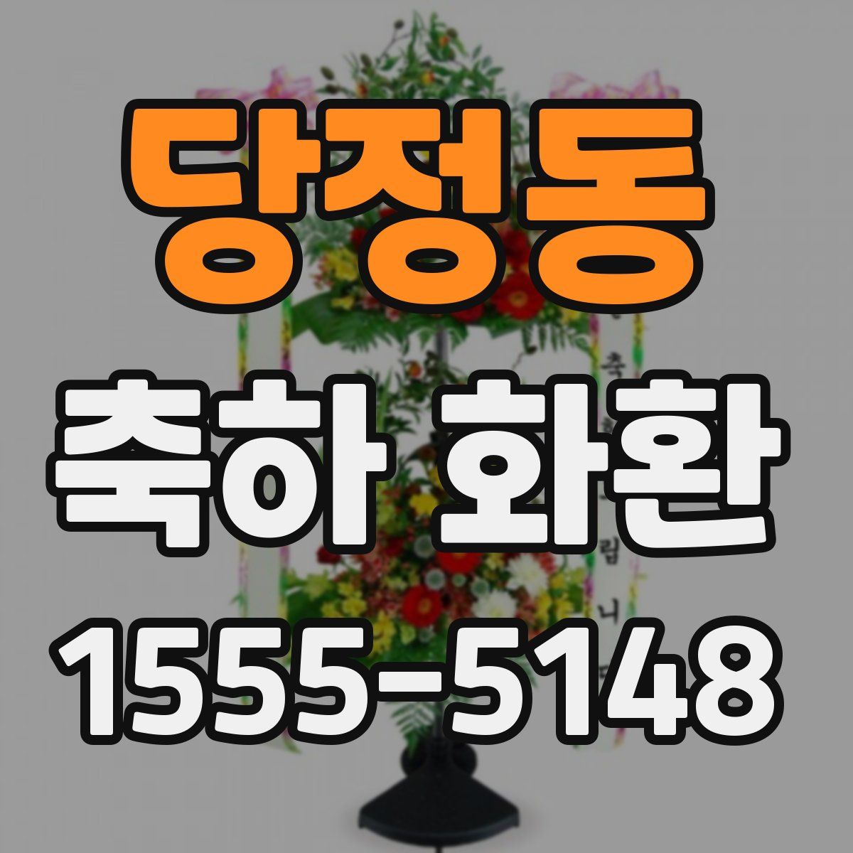 당정동 축하 화환