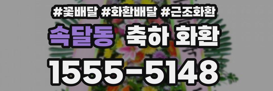 속달동 축하 화환