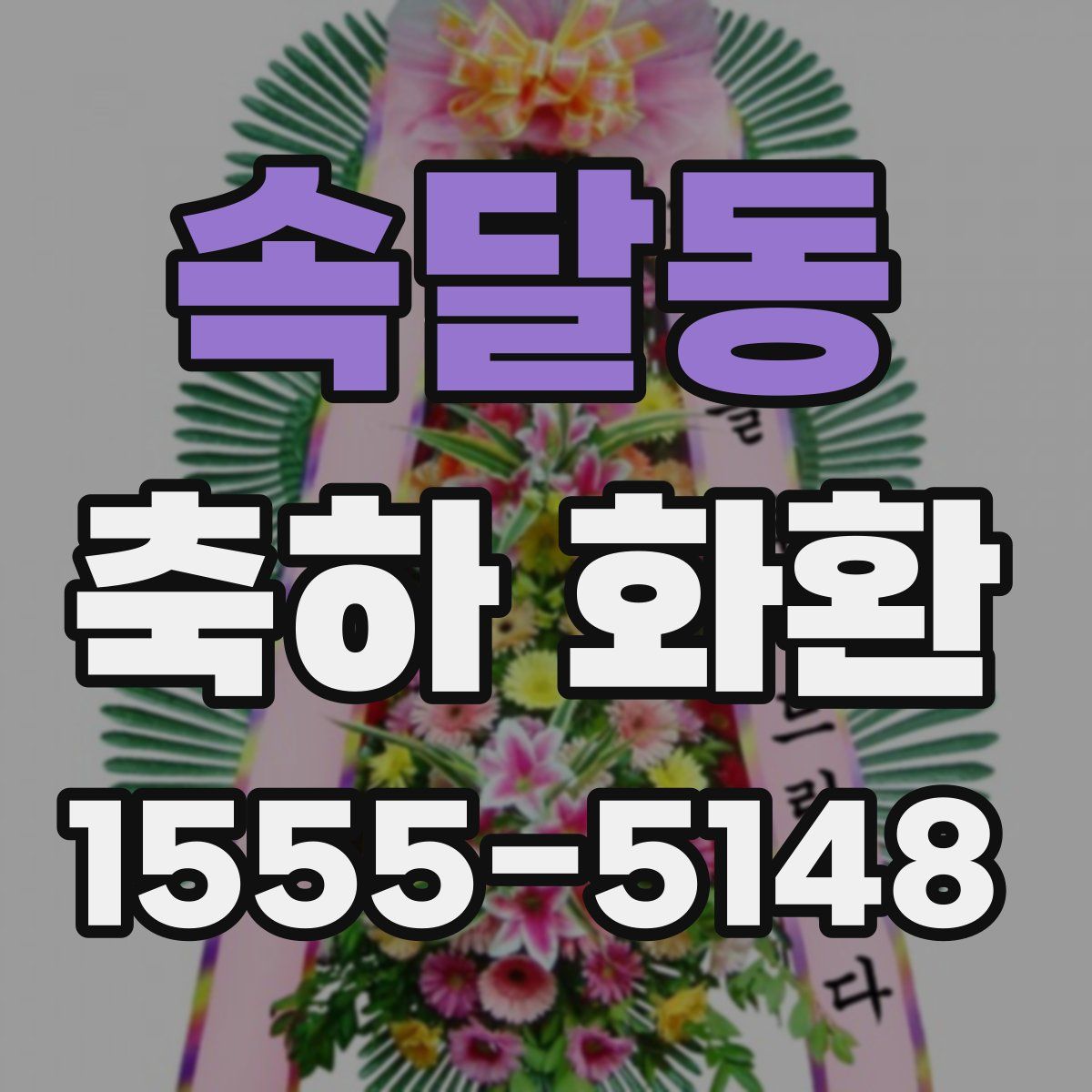 속달동 축하 화환