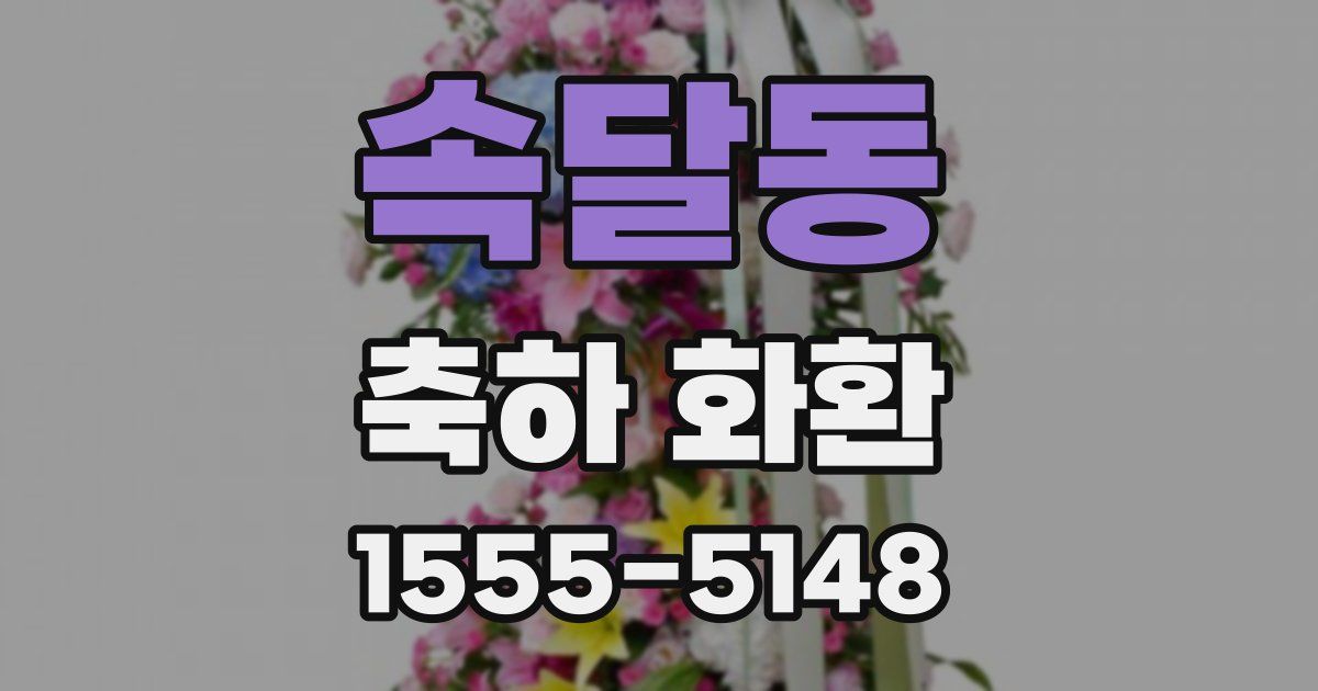 속달동 축하 화환