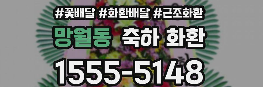 망월동 축하 화환