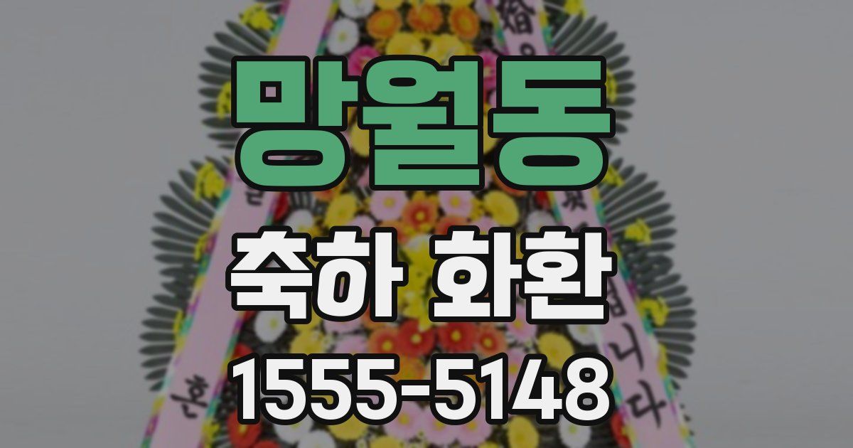 망월동 축하 화환