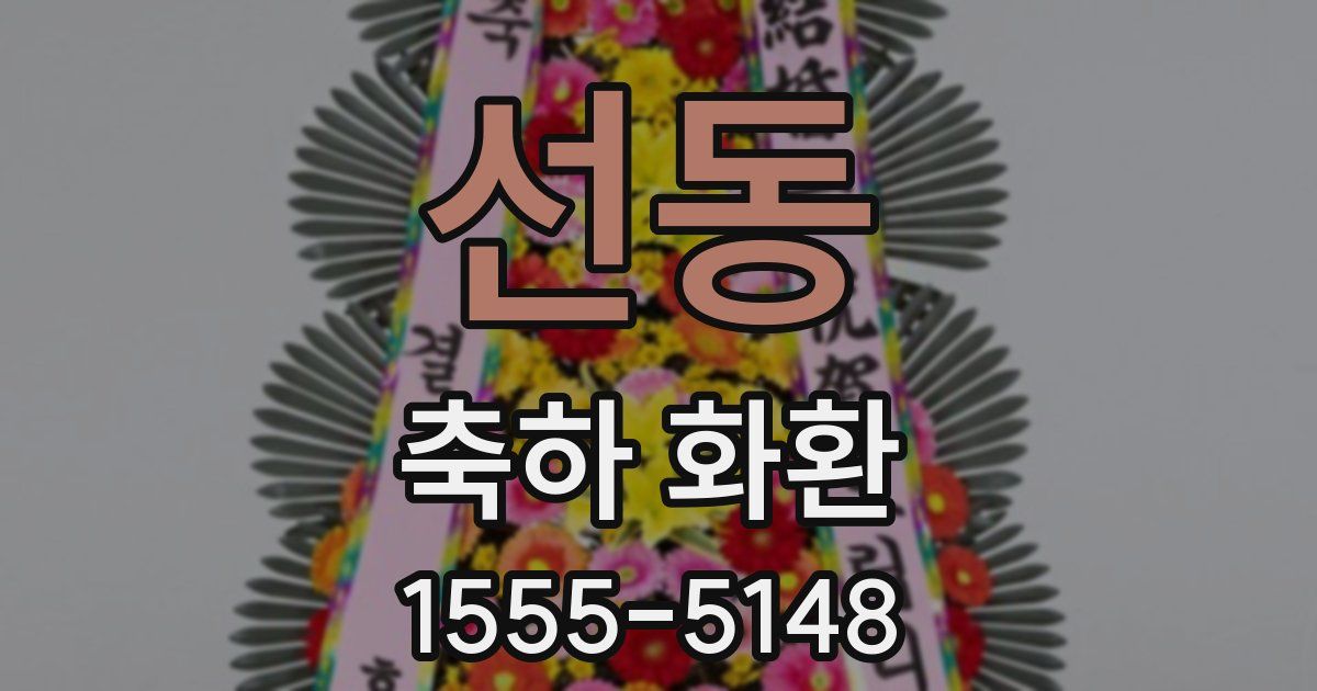 선동 축하 화환